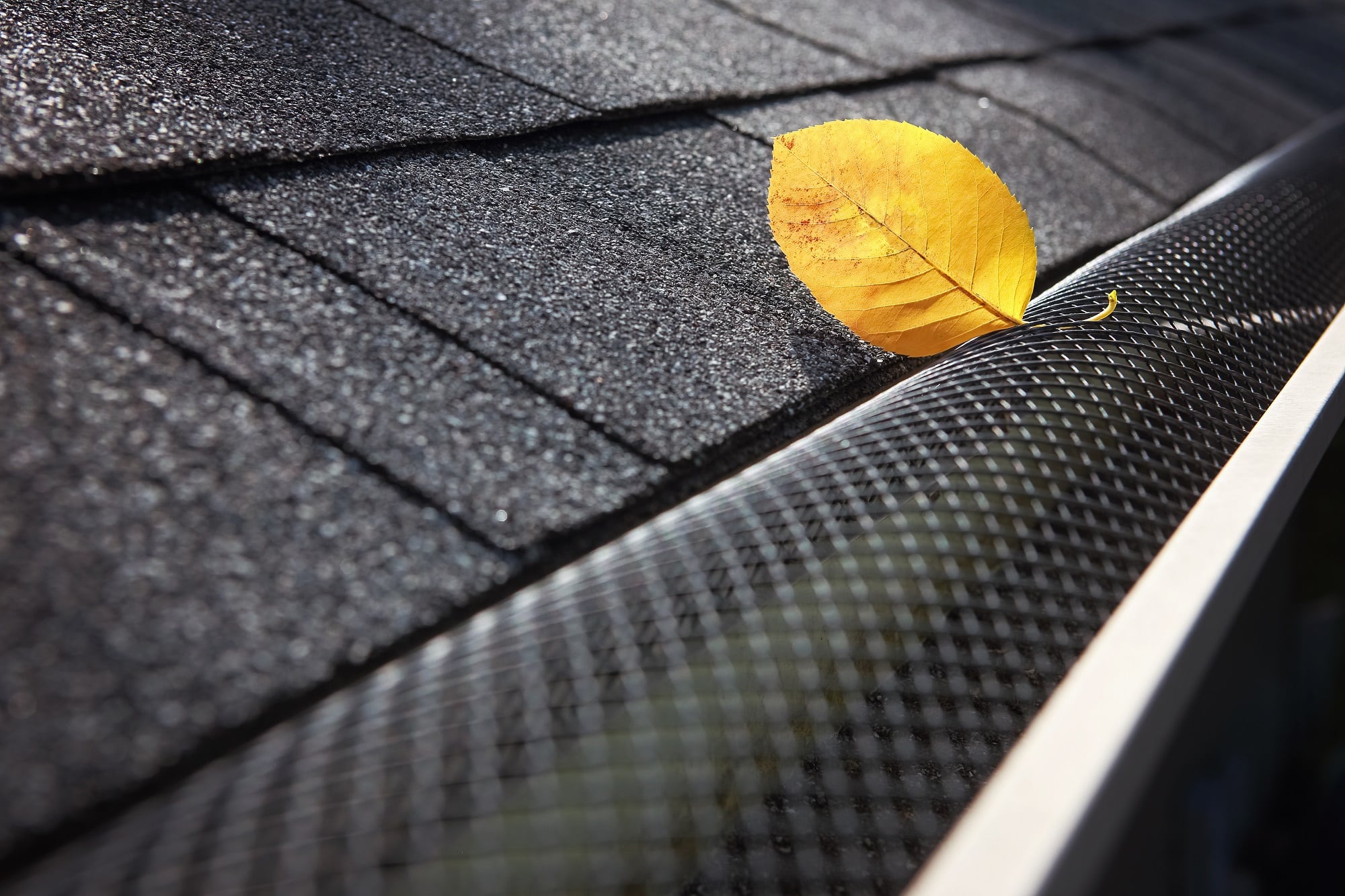 gutter guard installation services palm coast fl